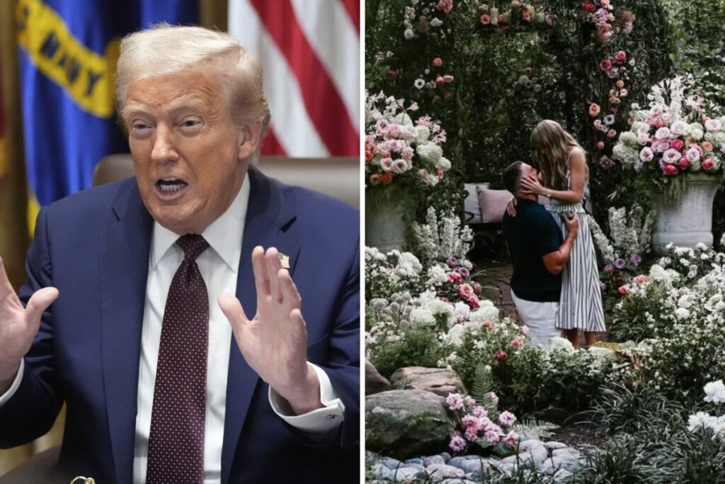 Donald Trump reacts to Taylor Swift and Travis Kelce engagement
