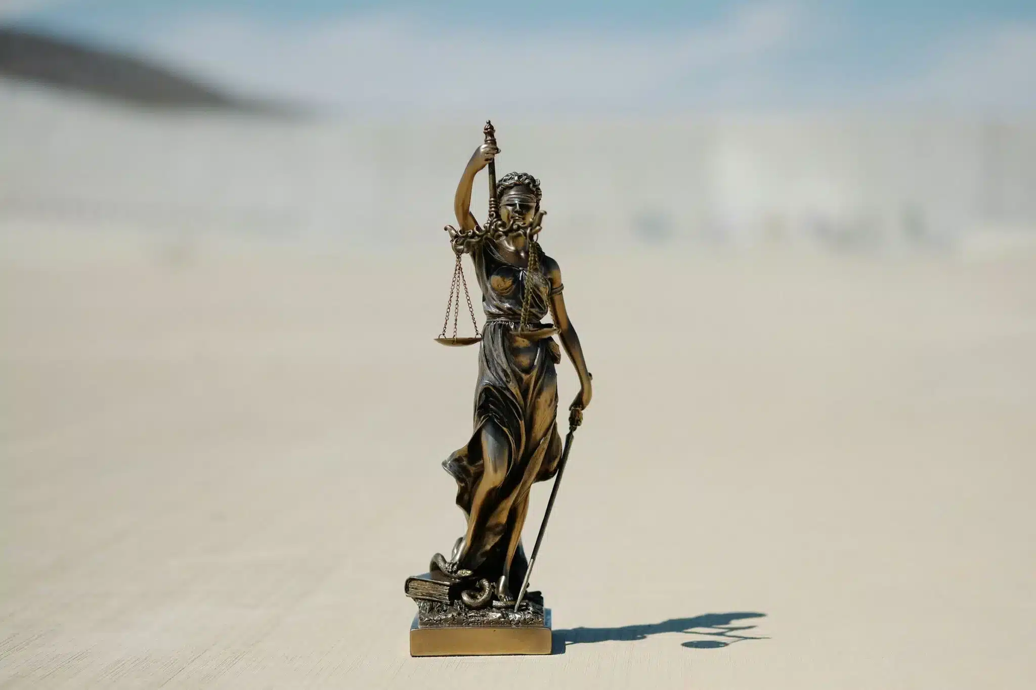telemarket sues payme, court