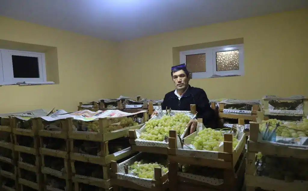 farmer from altyaryk