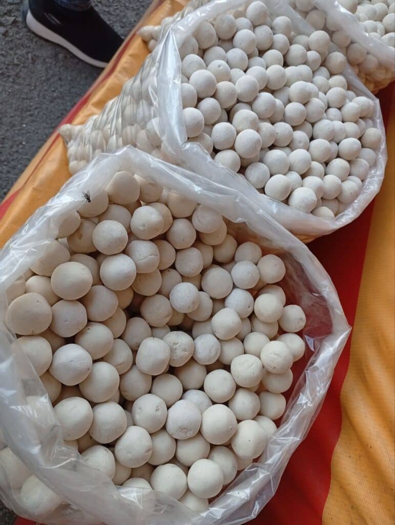 горный курут
