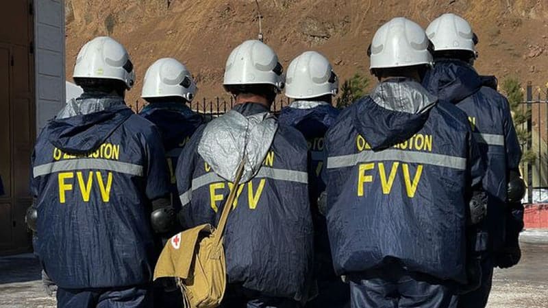 FVV