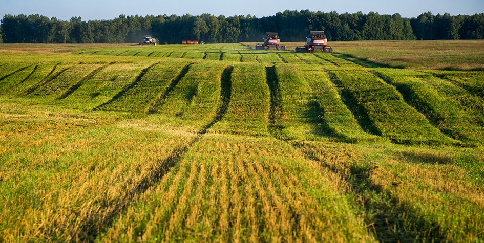 земли