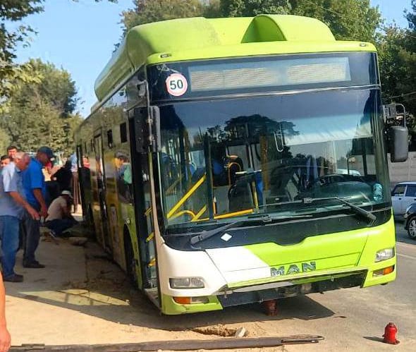 avtobus