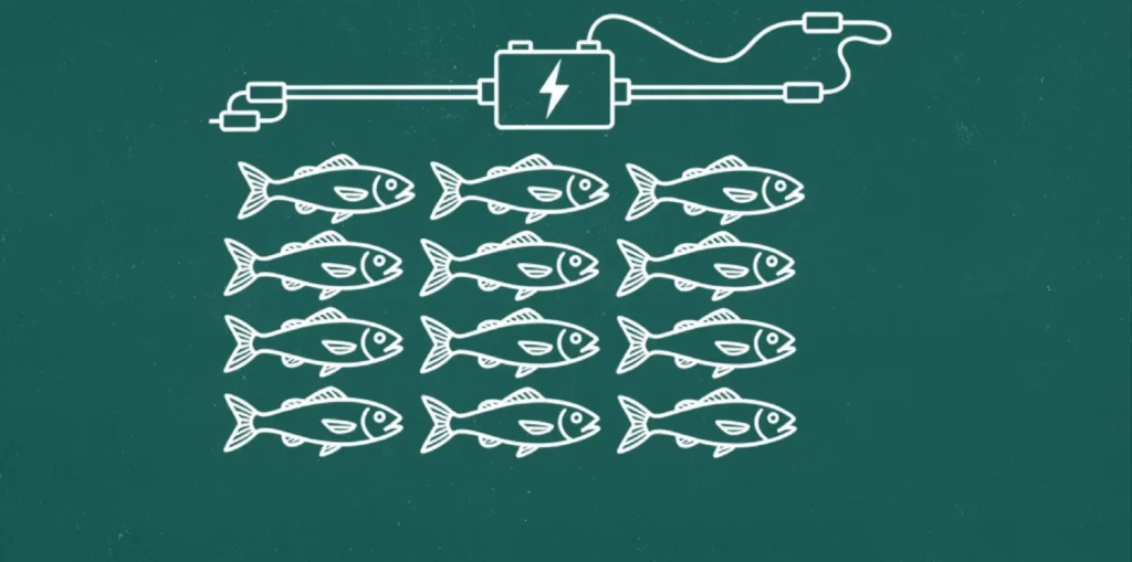 В Бухаре задержали браконьеров, ловивших рыбу электричеством