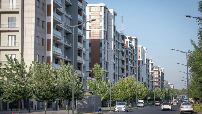 Sobiq Yaponiya bosh vazirining qotili, Kasb va mehnat kuni, Zomin tumanida qalin qor — 29-oktabrning eng muhim yangiliklari