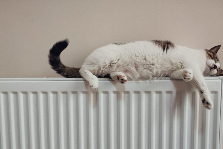 Qoraqalpog‘iston va Xorazmda tabiiy gaz bazaviy me’yori uzaytirildi