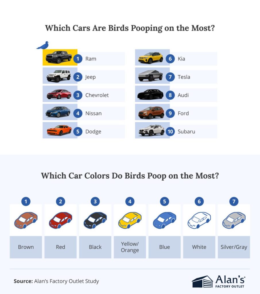 bird droppings data