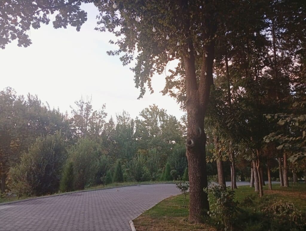 Зеленые зоны