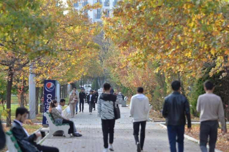 1-noyabrdan kuchga kiradigan o‘zgarishlar: O‘zbekistonda nimalar yangilanadi