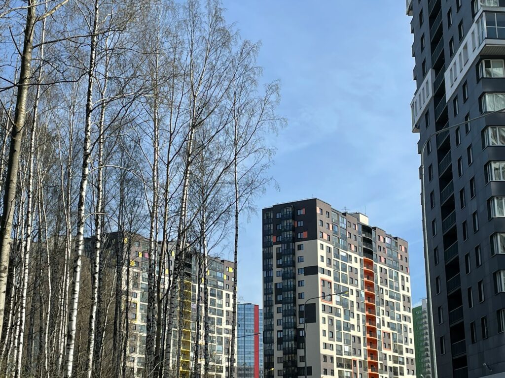 Прогноз погоды в Узбекистане на 24 октября
