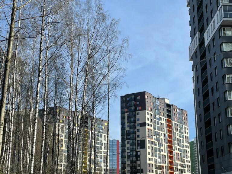 Yevropa Ittifoqi bilan JSTga a’zolik bo‘yicha muzokaralar, Rossiyadagi o‘zbekistonliklarga ogohlantirish — 25-oktabrning muhim hodisalari