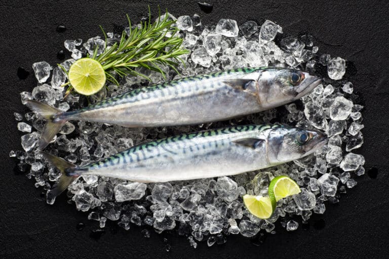 Ташкентцев беспокоит рост цен на скумбрию