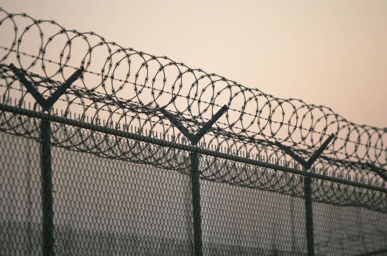 В Узбекистане задержаны сотрудники проекта Qonun doirasida