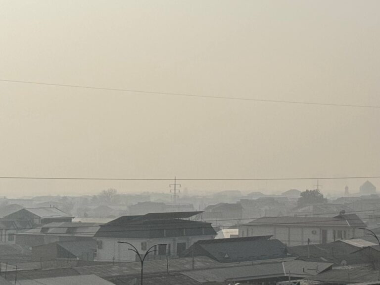 В Узбекистане ожидаются туманы без осадков