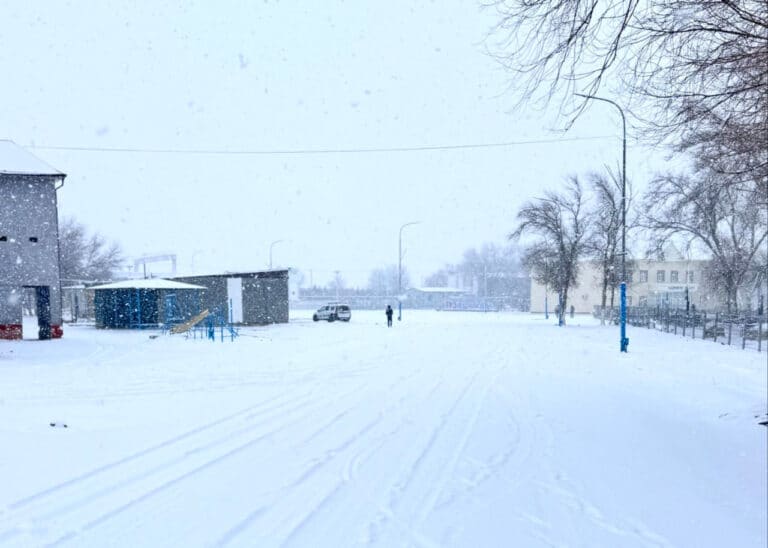 Qoraqalpog‘istonda qor yog‘di — video