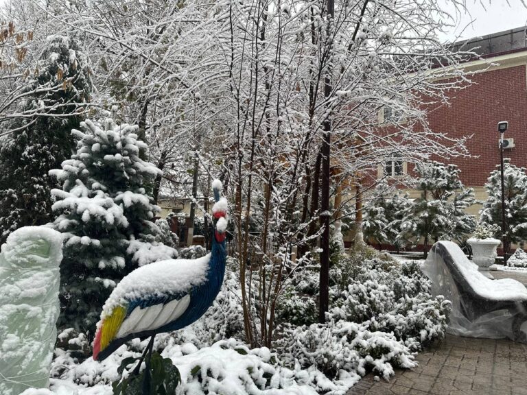 Дожди со снегом ожидаются в Ташкенте в новогоднюю ночь