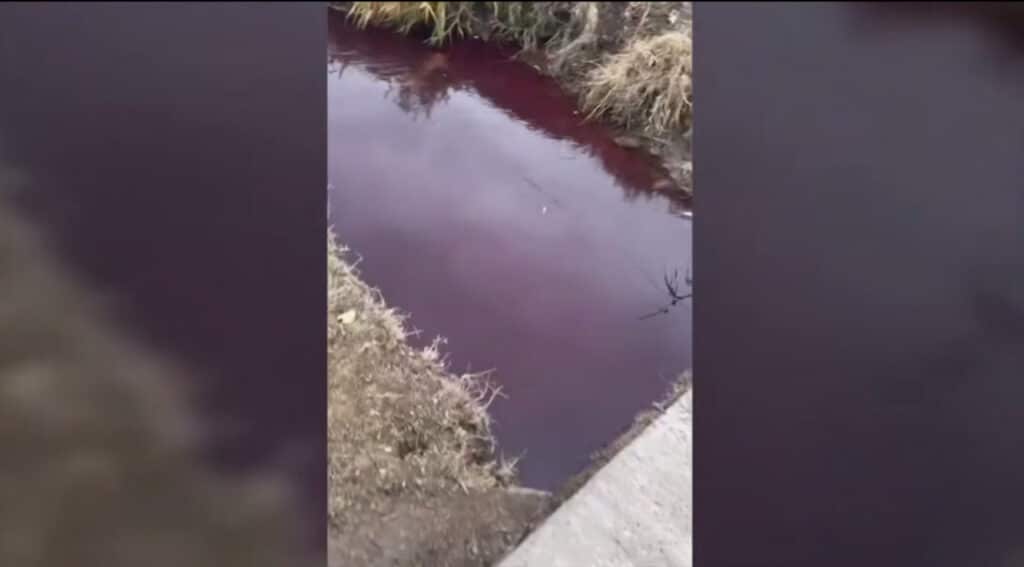 Yangihayot tumanidagi qon muammosi bo‘yicha rasmiy munosabat bildirildi