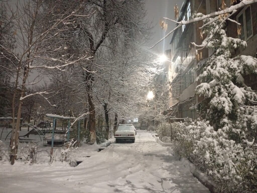 Будет ли снег на Новый год в Узбекистане