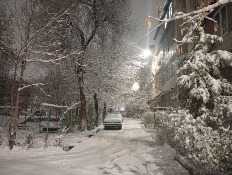 Прогноз погоды на 17 января: снег и туман ожидаются в Ташкенте