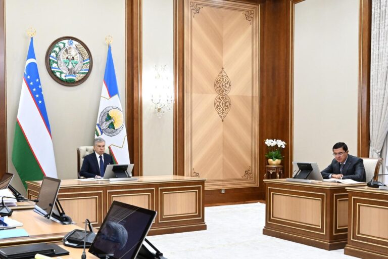 В Узбекистане переписали 2,5 млн домохозяйств за пять дней