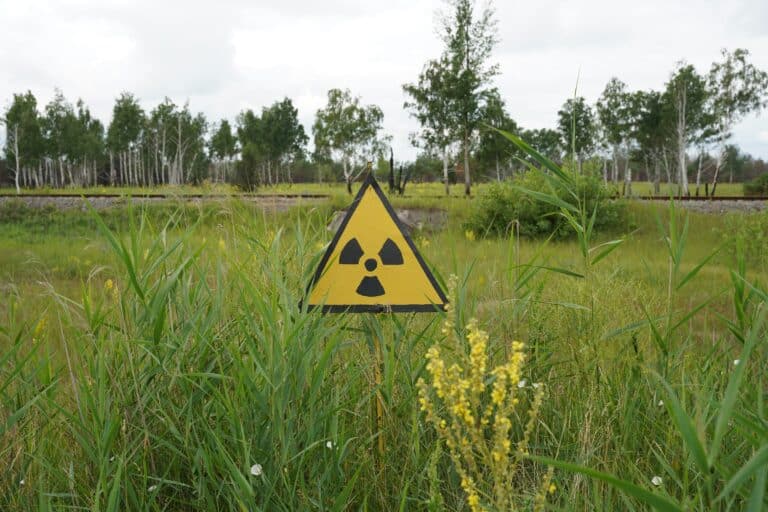 Uzbekistan Partners With Rosatom on Nuclear Waste Disposal