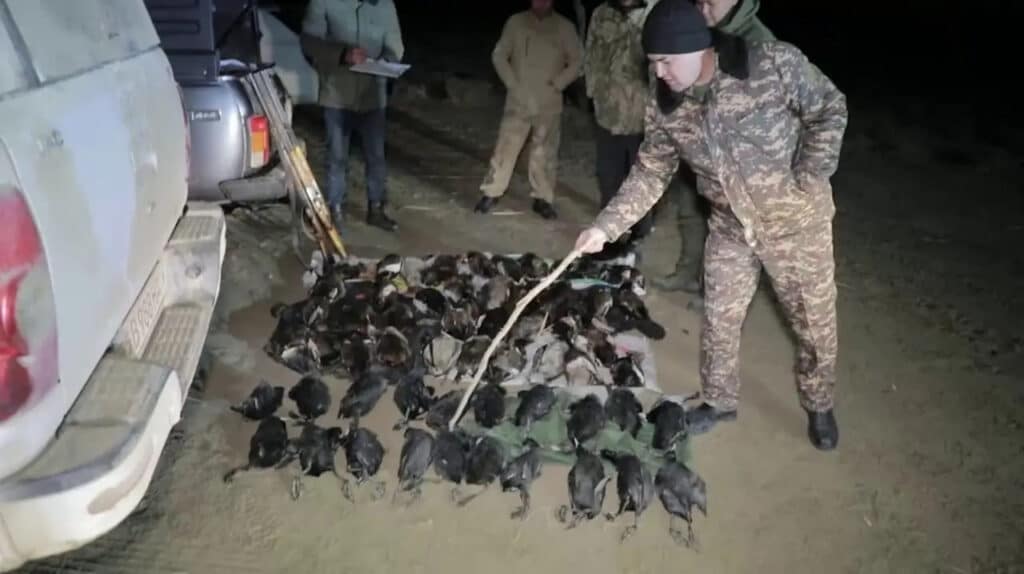 Нелегальная охота в Бухаре