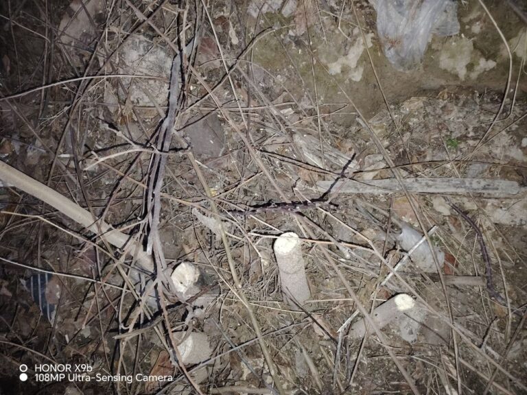 Жителя Самарканда оштрафовали на 25 млн сумов за незаконную вырубку деревьев