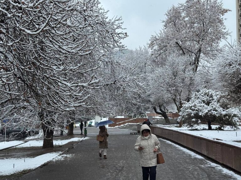 27-yanvar kuni qanday ob-havo kuzatiladi