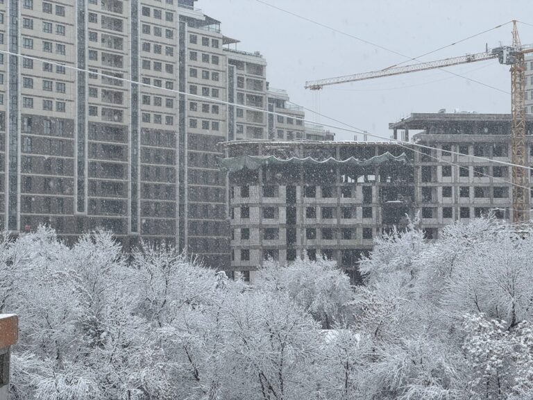 В Ташкенте 23 января ожидаются снег и туман