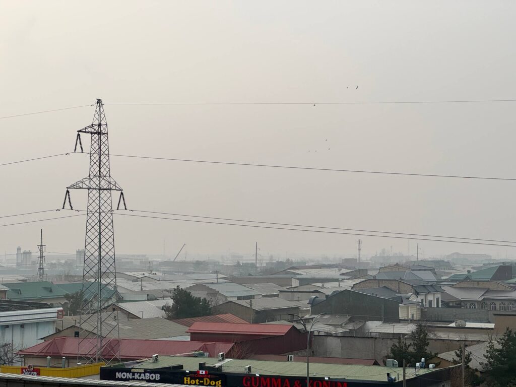 Погода в Ташкенте