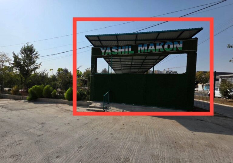 Хокимият Яшнабада опроверг информацию о штрафе блогеру за посадку деревьев