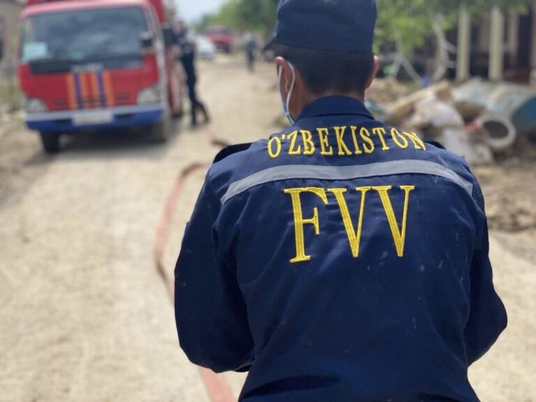 Сель подтопил 30 домов в Джизакской области — видео