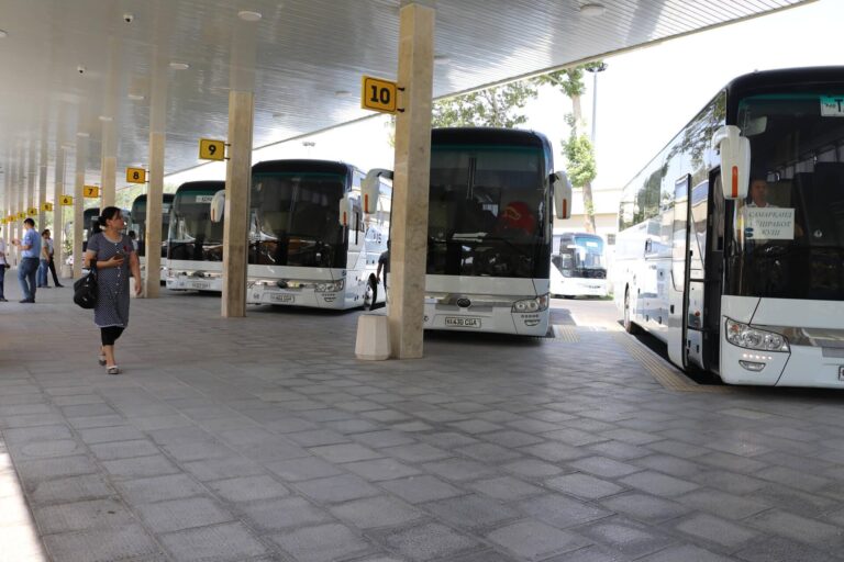 Между Ташкентом и Санкт-Петербургом запустят автобусы