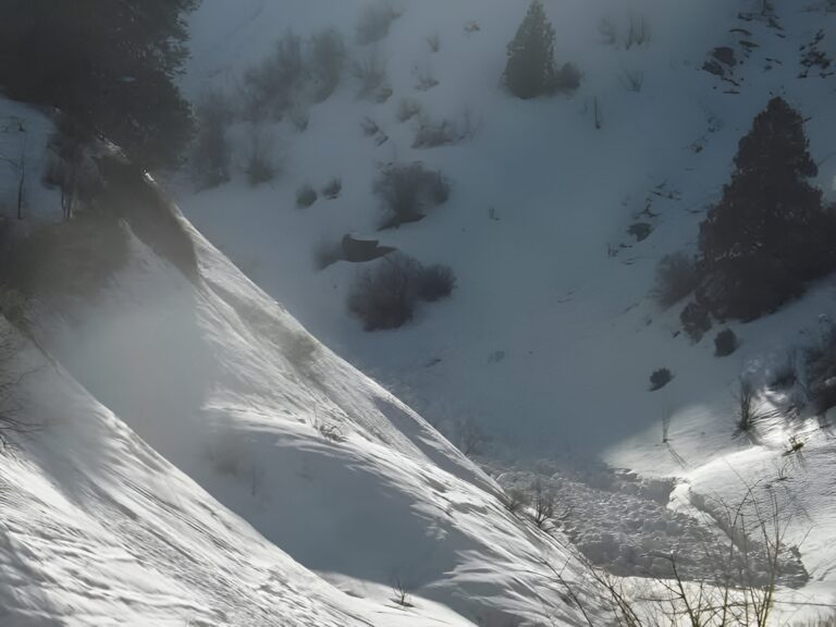 В шести горных районах Узбекистана объявлена лавинная опасность