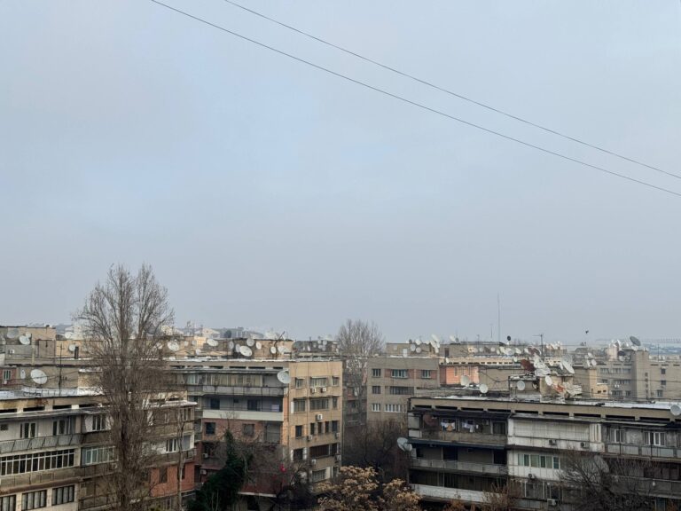 Дожди и туман накроют Ташкент 13 февраля