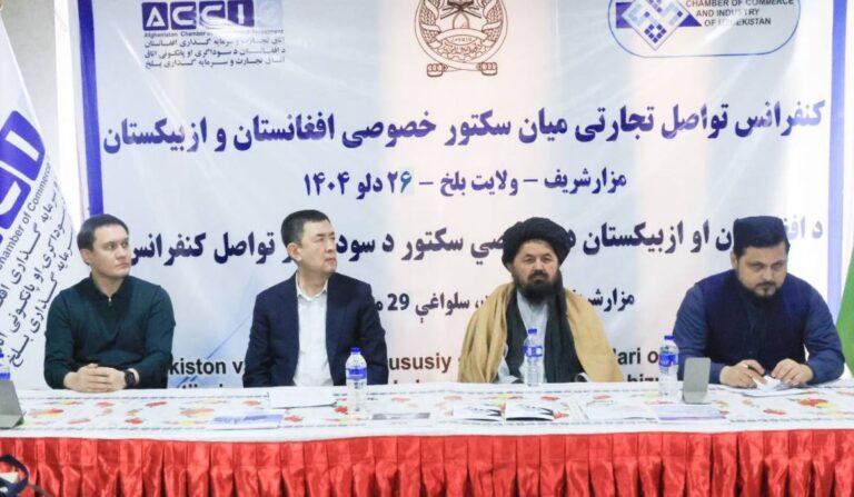 Сырдарья и Афганистан договорились о соглашениях на $300 млн