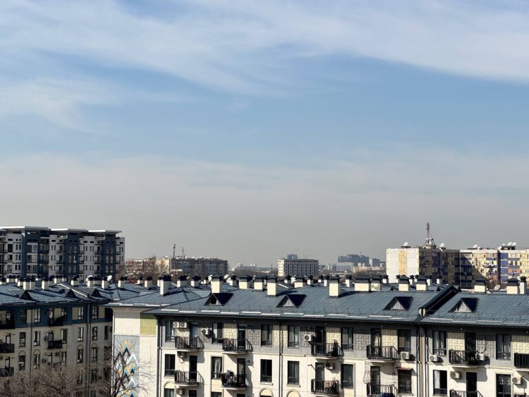 Погода в Ташкенте 26 февраля: облачно и до 10° тепла