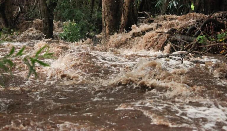 O‘zbekistonda 18-23-aprel kunlari sel kuzatilishi mumkin