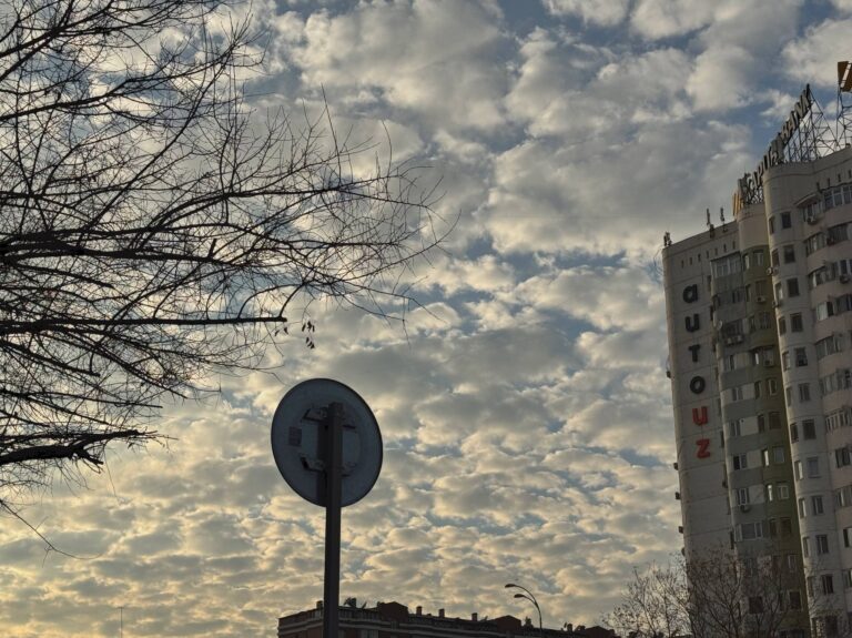 В Ташкенте до +23°: прогноз погоды на 20 февраля