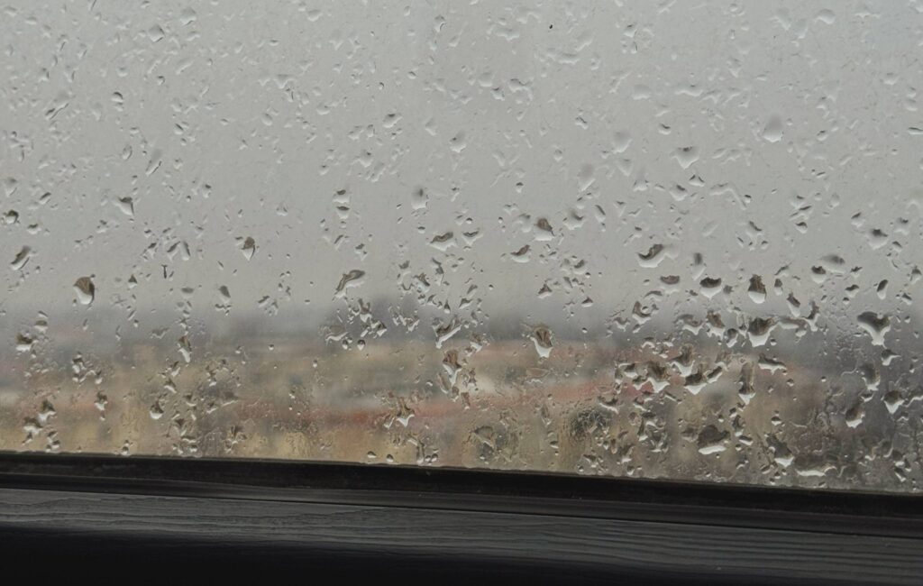 погода в Ташкенте 24 февраля