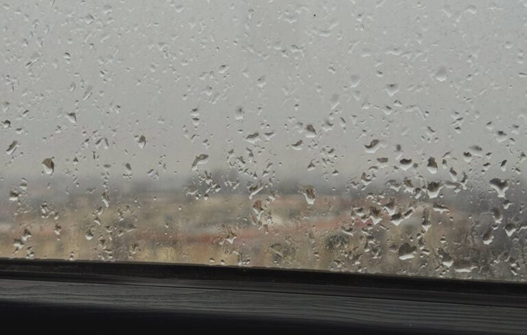 Дождь накроет Ташкент 24 февраля