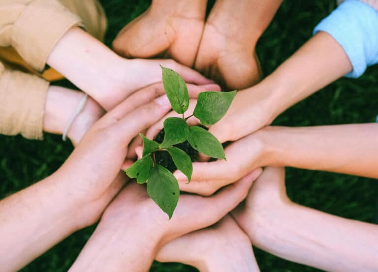 «Volontyorlikni qo‘llab-quvvatlash» jamg‘armasi tashkil etiladi