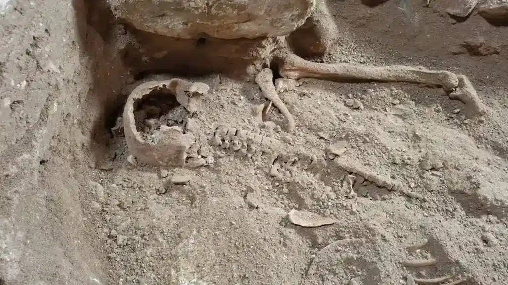 Archaeologists Find Skeleton of Famed Musketeer d'Artagnan