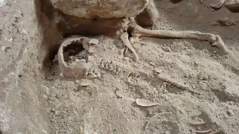 Archaeologists Find Skeleton of Famed Musketeer d’Artagnan