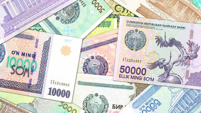 Учись на эколога — получи 1,2 млн сумов: в «зеленых» техникумах введут экостипендию