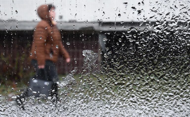 Дождь по расписанию: в Узбекистане научатся «включать» осадки