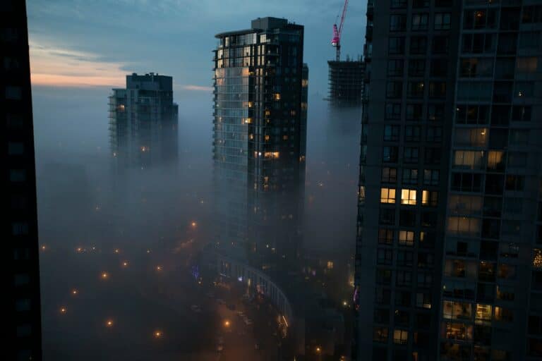 Дождь и туман ожидаются в Ташкенте 5 марта