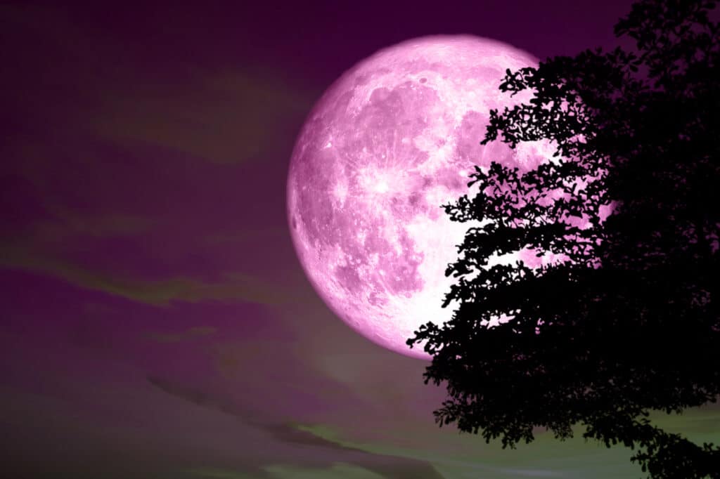 Розовая Луна