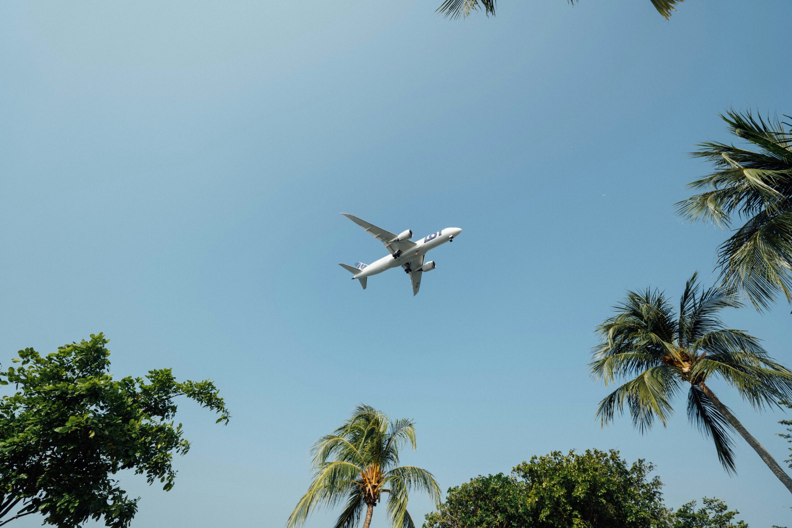 IATA: Global Air Travel Demand Forecast to Double by 2050