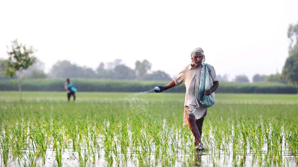 ADB Study Urges India to Phase Out Universal Subsidies, Target Benefits Better